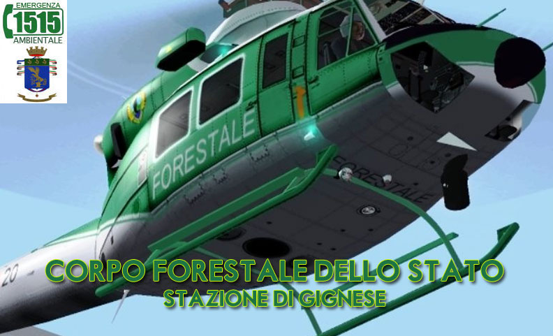 corpo forestale gignese